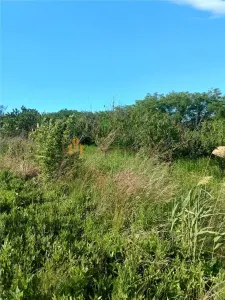 Teren de vanzare Valea Lungă - Holboca - foto 5