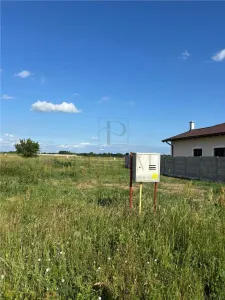 24 Terenuri- Mosnita Noua- TOATE UTILITATILE- zona in plina dezvoltare - Mosnita Noua
