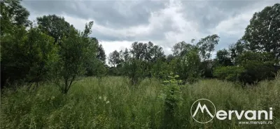 Vila de vanzare cu 6 camere si teren de 5116 mp in Cornu - foto 15