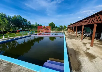 OPORTUNITATE! Proprietate deosebita de vanzare | Casa, 13.200 mp teren, doua iazuri cu peste | Raducaneni, Iasi - foto 7