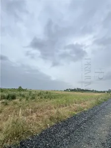 Terenuri- MOSNITA NOUA- TOATE UTILITATILE - foto 3