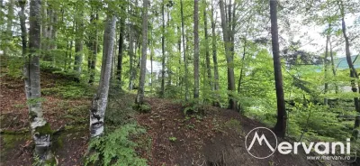 Teren intravilan 720 mp Sinaia - foto 2