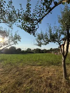 Teren- Mosnita Veche- Toate utilitatile- Vatra Satului - Mosnita Veche