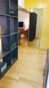 INCHIRIERE APARTAMENT 2 CAMERE AVIATIEI PARK HERASTRAU - foto 4