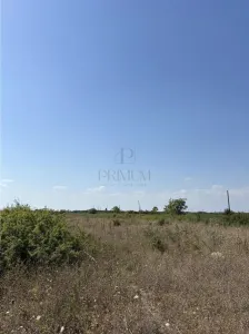 Doua Terenuri- Mosnita Veche- 561 mp - Mosnita Veche