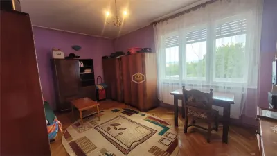Casa solidă și spațioasă în centrul orașului Livada - foto 17