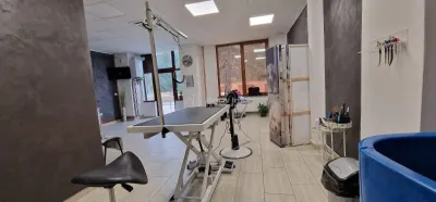 Resita Central Spatiu Comercial Judecatorie - foto 4