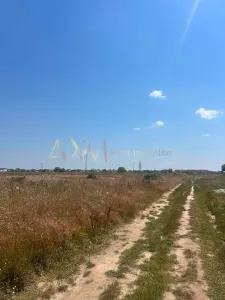 Vanzare teren Chisoda - foto 3