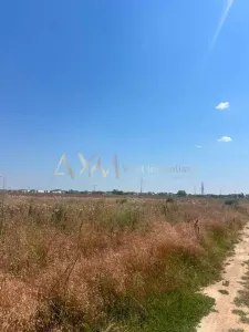 Vanzare teren Chisoda - foto 4