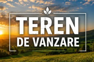 Teren - Mosnita Veche - Doua fronturi stradale - Mosnita Veche