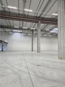 Spatiu Industrial - 10500 mp - Logistica - Productie - Depozitare - Distributie - foto 11