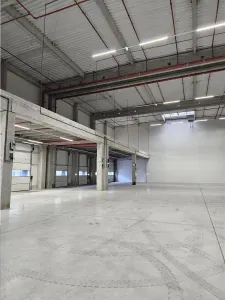 Spatiu Industrial - 10500 mp - Logistica - Productie - Depozitare - Distributie - foto 9