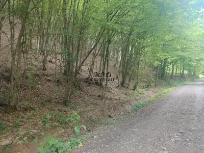Teren in Bulzestii de Sus 3700mp - foto 2