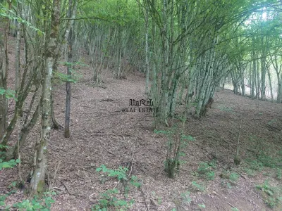 Teren in Bulzestii de Sus 2451mp - foto 2