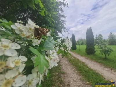 Refugiu idilic cu oglinda de apa, panorama montana, Glajerie/Rasnov, ideal mini resort - foto 6