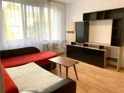 RECO Apartament 2 camere, semidecomandat - foto 2