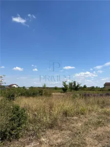 Teren - Mosnita Veche - 2 Fronturi Stradale - Zona linistita - foto 3