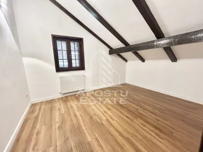 Casa cu 5 camere de inchiriat, curte proprie, Sanmihaiu Roman, Timis - foto 3