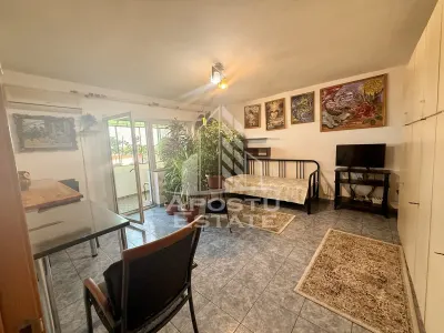 Apartament 1 camera de vanzare, zona Lunei, Timisoara - Timisoara