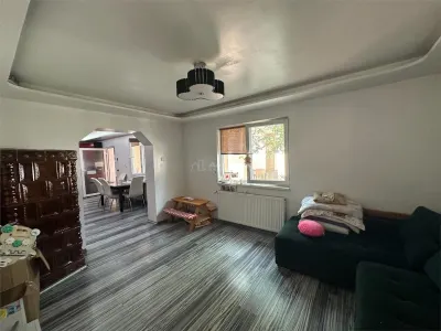 Bocsa Montana, 2 Case direct la Soseaua Principala, la pret de una - foto 4