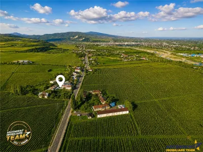 OFERTA REZERVATA! Proprietate unica in zona viticola Odobesti, Vrancea, casa boiereasca cu 4.000 mp de teren intravilan - foto 5