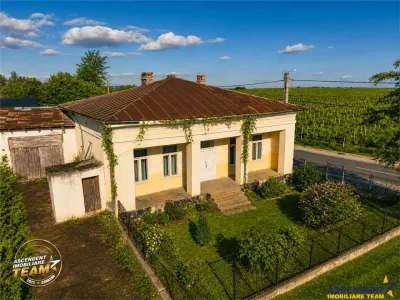 OFERTA REZERVATA! Proprietate unica in zona viticola Odobesti, Vrancea, casa boiereasca cu 4.000 mp de teren intravilan - foto 6