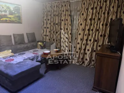 Apartament cu 2 camere de vanzare, etaj4/5, Zona Lipovei , Timisoara - Timisoara