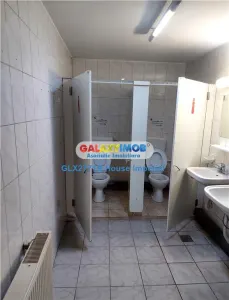 Inchiriere vila/casa  zona Timpuri Noi - foto 5