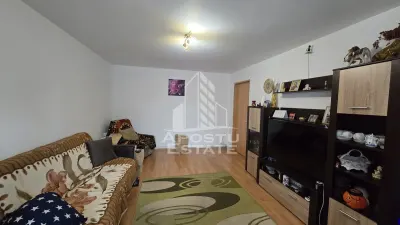 Apartament cu 4 camere de vanzare, zona Lipovei, Timisoara - Timisoara