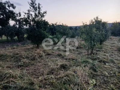 Teren de vânzare în Topoloveni | Zonă liniștită, aproape de oraș - foto 4