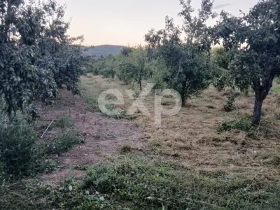 Teren de vânzare în Topoloveni | Zonă liniștită, aproape de oraș - foto 5