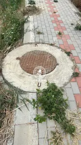 Teren 1000mp intravilan de vanzare Tomesti - foto 2