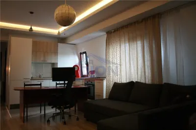 APARTAMENT 2 CAM,  PIATA IANCULUI - Bucuresti