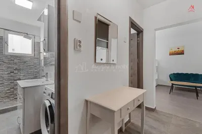 Inchiriere garsoniera - boiler - Visana - Tineretului - foto 5