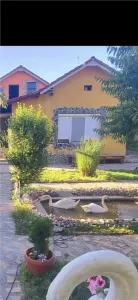 Casa pe sol, teren : 1460 mp - zona Spitalului Municipal - Bariera - foto 11