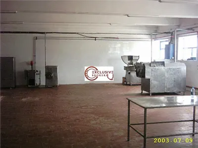 TEREN si constructii industriale-fost abator Mandresti - foto 16
