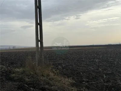 Teren extravilan in EXCLUSIVITATE 20300 mp in Sura Mica - foto 4