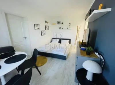 COMPLEX STUNDENTESC - 2 Camere - Renovat - Termoizolat - foto 4