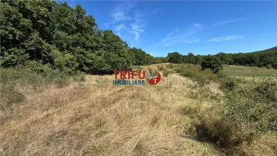 Teren de vanzare pentru cabana langa padure in Ampoita - foto 2