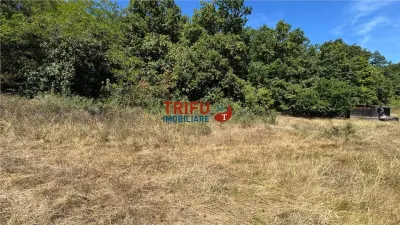 Teren de vanzare pentru cabana langa padure in Ampoita - foto 4