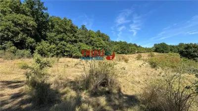 Teren de vanzare pentru cabana langa padure in Ampoita - foto 5