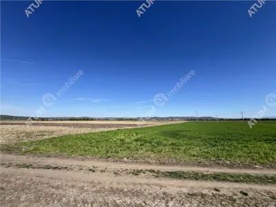 De vanzare in Sibiu teren intravilan cu suprafata de 3300 mp amplasat in zona Calea Surii Mici - foto 4