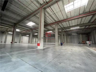 Inchiriere depozit/hala/spatiu industrial Theodor Pallady - Cernica - A2 - A0 - Manolache - foto 14