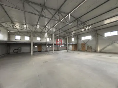 Inchiriere hala/depozit/spatiu industrial Magurele - Atomistilor, ILFOV - foto 3