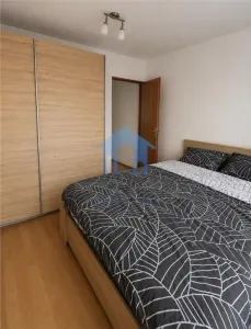 Apartament 2 camere, Plopilor - foto 5
