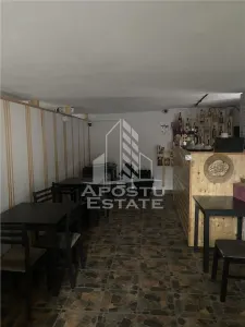 Casa unifamiliala in Timisoara,cu spatiul comercial - foto 18