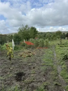 Casa la cheie, Dipsa, Jud.B-N - foto 5