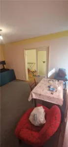 Apartament la Parter zona Sagului P-ta Doina - foto 9