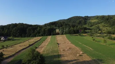 TEREN EXTRAVILAN 5.886 MP ÎN BUCOVINA BUCȘOAIA | ZONĂ DE MUNTE, LÂNGĂ PĂDURE | APROAPE DE VORONEȚ ȘI GURA HUMORULUI|COMISION 0 - foto 9
