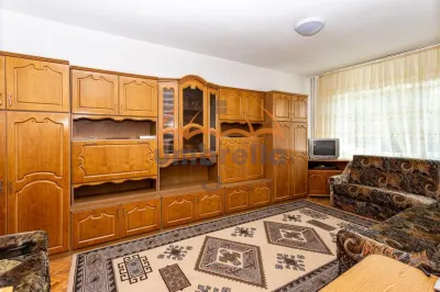 Garsoniera de inchiriat, 39m², cart. Gruia, cu garaj - foto 2
